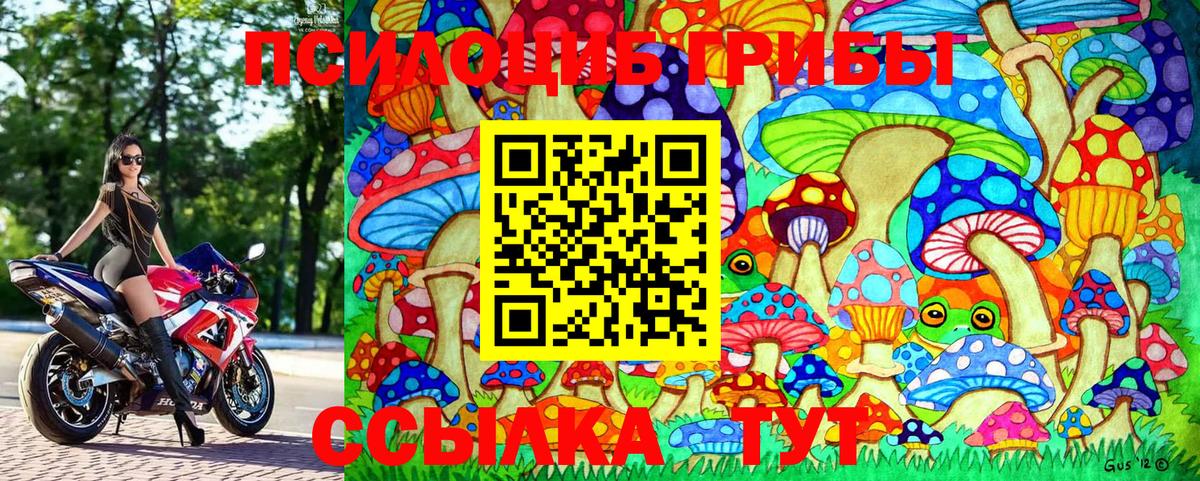 Псилоцибиновые грибы GOLDEN TEACHER  Псилоцибиновые грибы Cubensis  Мыски  Вход с VPN 